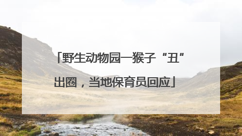 野生动物园一猴子“丑”出圈，当地保育员回应