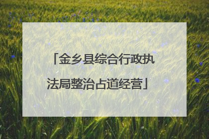 金乡县综合行政执法局整治占道经营
