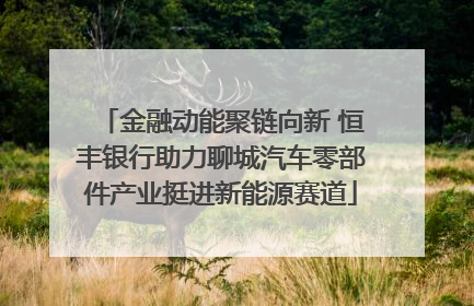 金融动能聚链向新 恒丰银行助力聊城汽车零部件产业挺进新能源赛道