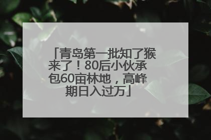 青岛第一批知了猴来了！80后小伙承包60亩林地，高峰期日入过万