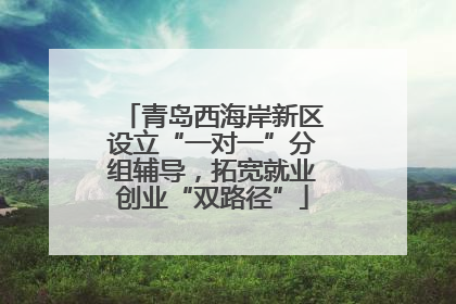 青岛西海岸新区设立“一对一”分组辅导，拓宽就业创业“双路径”