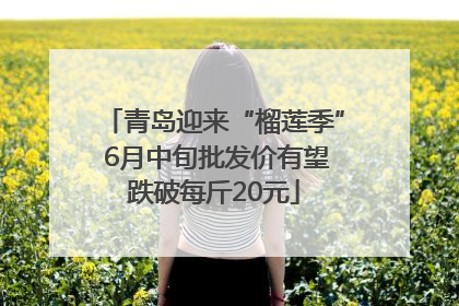 青岛迎来“榴莲季” 6月中旬批发价有望跌破每斤20元