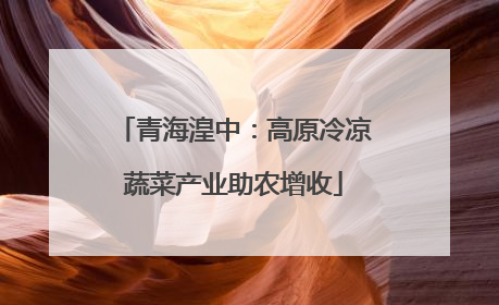青海湟中：高原冷凉蔬菜产业助农增收