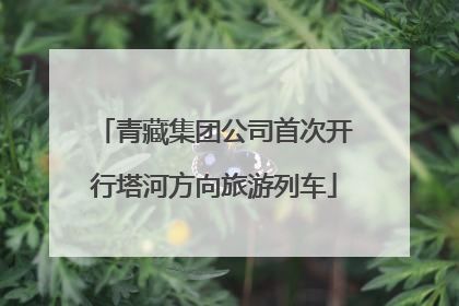 青藏集团公司首次开行塔河方向旅游列车