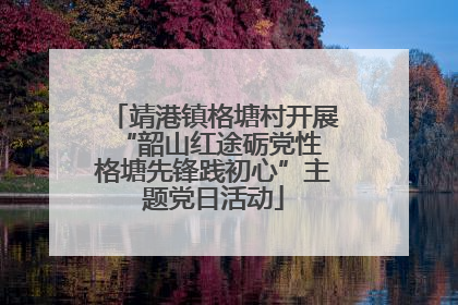 靖港镇格塘村开展“韶山红途砺党性 格塘先锋践初心”主题党日活动