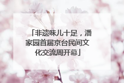 非遗味儿十足，潘家园首届京台民间文化交流周开幕