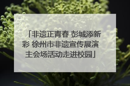 非遗正青春 彭城添新彩 徐州市非遗宣传展演主会场活动走进校园