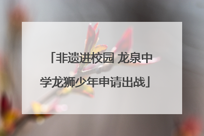 非遗进校园 龙泉中学龙狮少年申请出战