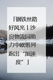 钢铁丝路好风光丨沙良物流园助力中欧班列跑出“加速度”