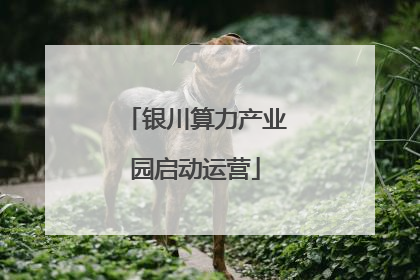 银川算力产业园启动运营