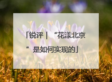 锐评｜“花漾北京”是如何实现的