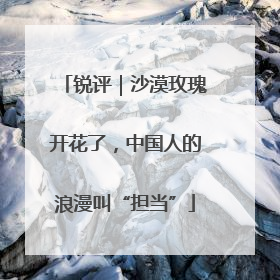 锐评｜沙漠玫瑰开花了，中国人的浪漫叫“担当”
