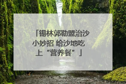 锡林郭勒盟治沙小妙招 给沙地吃上“营养餐”