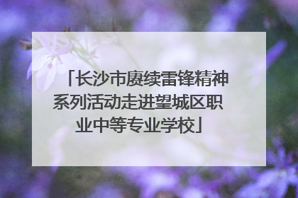 长沙市赓续雷锋精神系列活动走进望城区职业中等专业学校