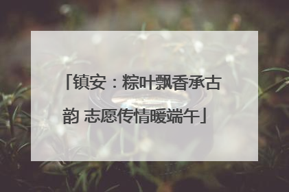 镇安：粽叶飘香承古韵 志愿传情暖端午