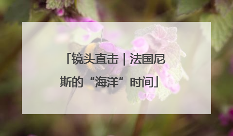 镜头直击｜法国尼斯的“海洋”时间