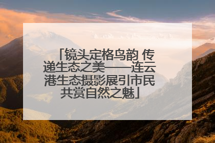 镜头定格鸟韵 传递生态之美——连云港生态摄影展引市民共赏自然之魅