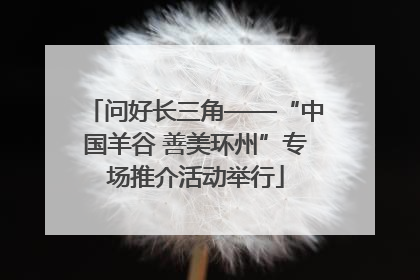 问好长三角——“中国羊谷 善美环州”专场推介活动举行