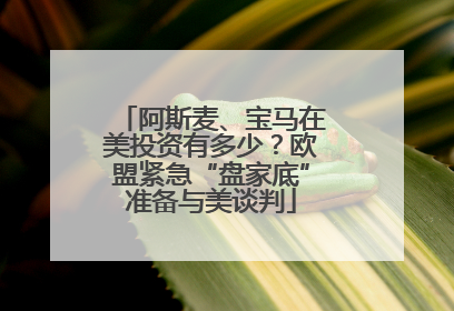 阿斯麦、宝马在美投资有多少？欧盟紧急“盘家底”准备与美谈判