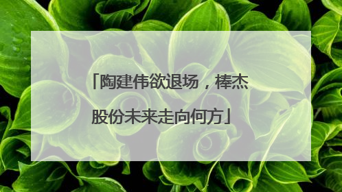 陶建伟欲退场，棒杰股份未来走向何方