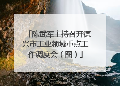 陈武军主持召开德兴市工业领域重点工作调度会（图）