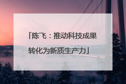 陈飞：推动科技成果转化为新质生产力