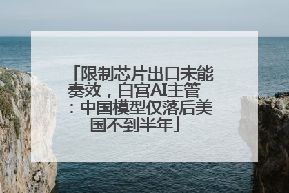 限制芯片出口未能奏效，白宫AI主管：中国模型仅落后美国不到半年