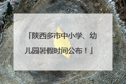 陕西多市中小学、幼儿园暑假时间公布！