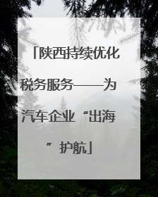 陕西持续优化税务服务——为汽车企业“出海”护航