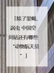 除了果蝇、涡虫 中国空间站还有哪些“动物航天员”