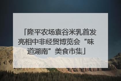 隆平农场袁谷米乳首发亮相中非经贸博览会“味道湖南”美食市集