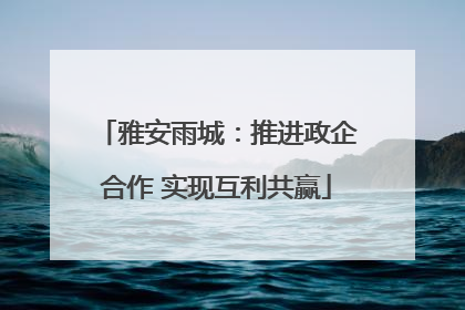 雅安雨城：推进政企合作 实现互利共赢