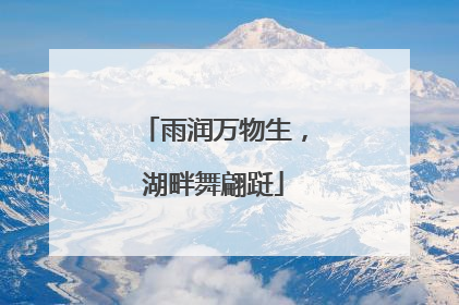 雨润万物生，湖畔舞翩跹