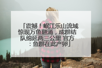 震撼！岷江乐山流域惊现万鱼翻涌，成群结队绵延两三公里 官方：鱼群在此产卵