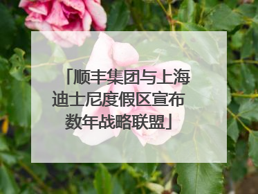 顺丰集团与上海迪士尼度假区宣布数年战略联盟