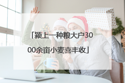 颍上一种粮大户3000余亩小麦喜丰收