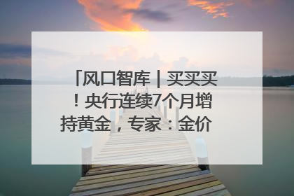 风口智库｜买买买！央行连续7个月增持黄金，专家：金价或仍易涨难跌