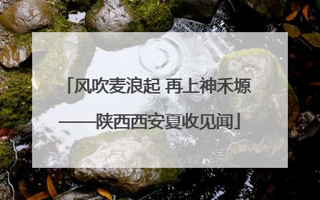 风吹麦浪起 再上神禾塬——陕西西安夏收见闻