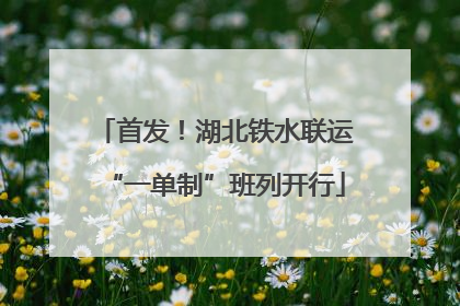 首发！湖北铁水联运“一单制”班列开行