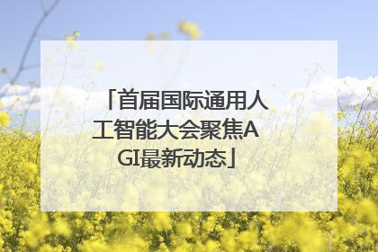 首届国际通用人工智能大会聚焦AGI最新动态
