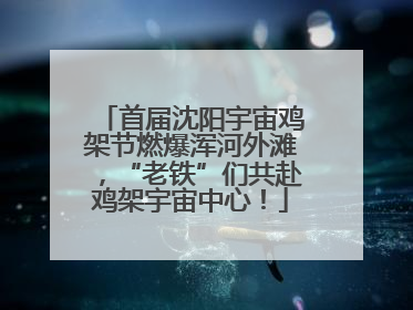首届沈阳宇宙鸡架节燃爆浑河外滩，“老铁”们共赴鸡架宇宙中心！