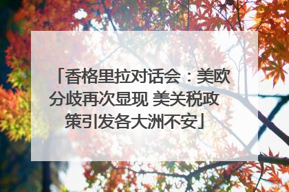 香格里拉对话会：美欧分歧再次显现 美关税政策引发各大洲不安