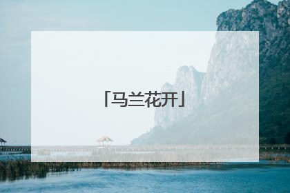 马兰花开
