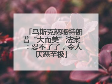 马斯克怒喷特朗普“大而美”法案：忍不了了，令人厌恶至极