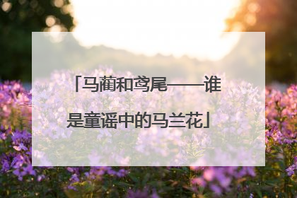 马蔺和鸢尾——谁是童谣中的马兰花