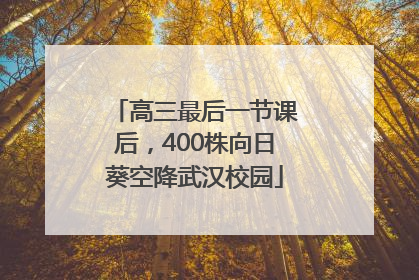 高三最后一节课后，400株向日葵空降武汉校园
