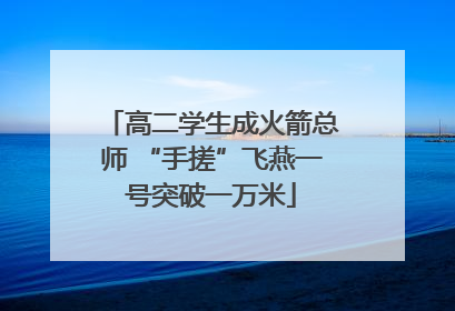 高二学生成火箭总师 “手搓”飞燕一号突破一万米