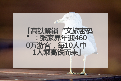 高铁解锁“文旅密码”：张家界年迎4600万游客，每10人中1人乘高铁而来