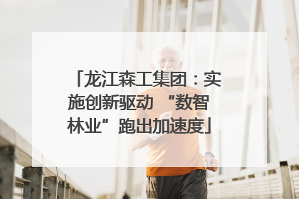 龙江森工集团：实施创新驱动 “数智林业”跑出加速度