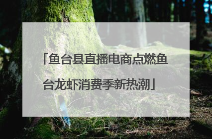鱼台县直播电商点燃鱼台龙虾消费季新热潮